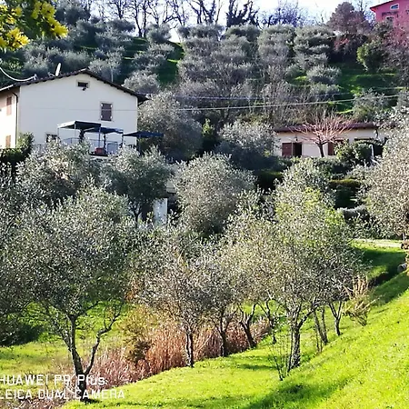 Tenuta Degli Obizzi * Montecarlo